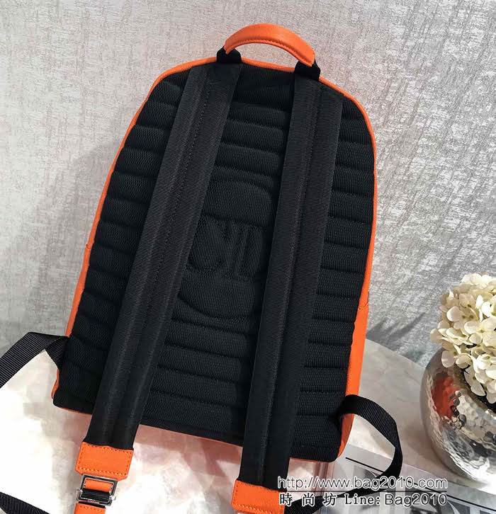 DIOR迪奧 homme 男款雙肩包 簡單休閒背包  zdo1358